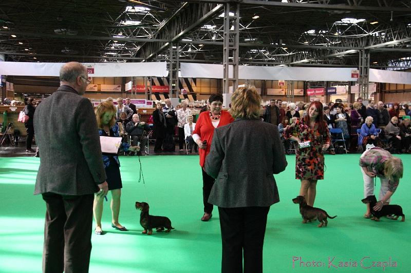 Crufts2011_2 918.jpg